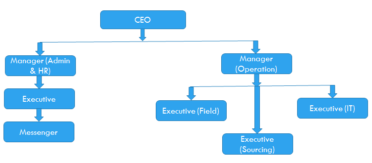 Organogram